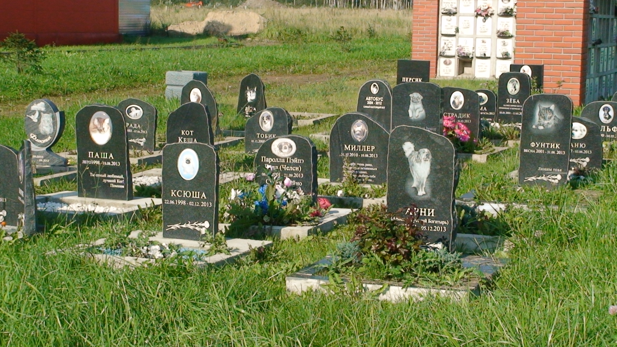 Городское кладбище животных в СПБ Электропультовцев